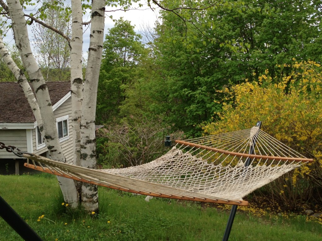 A picture of Diane's hammock