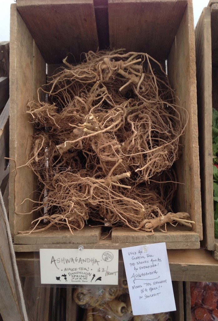 Container of ashwagandha