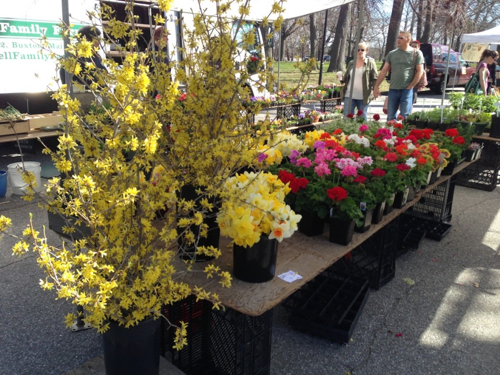 Spring flowers at the Farmers' Market