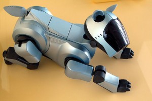 Aibo Robot Dog