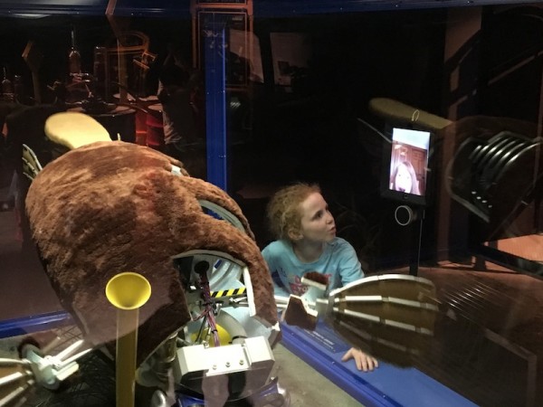 Platypus at Science Center
