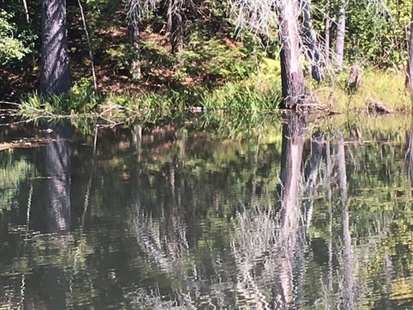 Happy Healthy Gorham hike