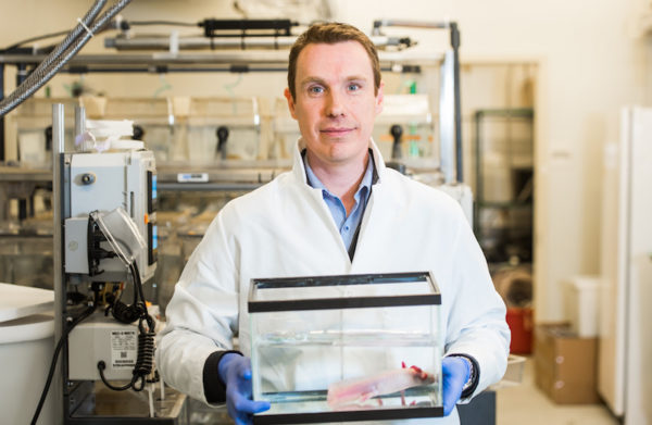 James Godwin, Ph.D/salamander regeneration
