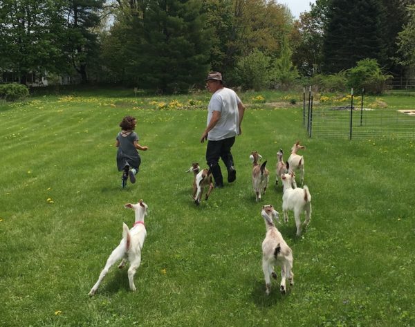 Michael and Nora leading goats
