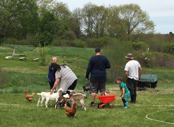 Family playing with goats