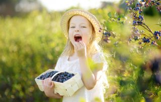 child eating blueberries