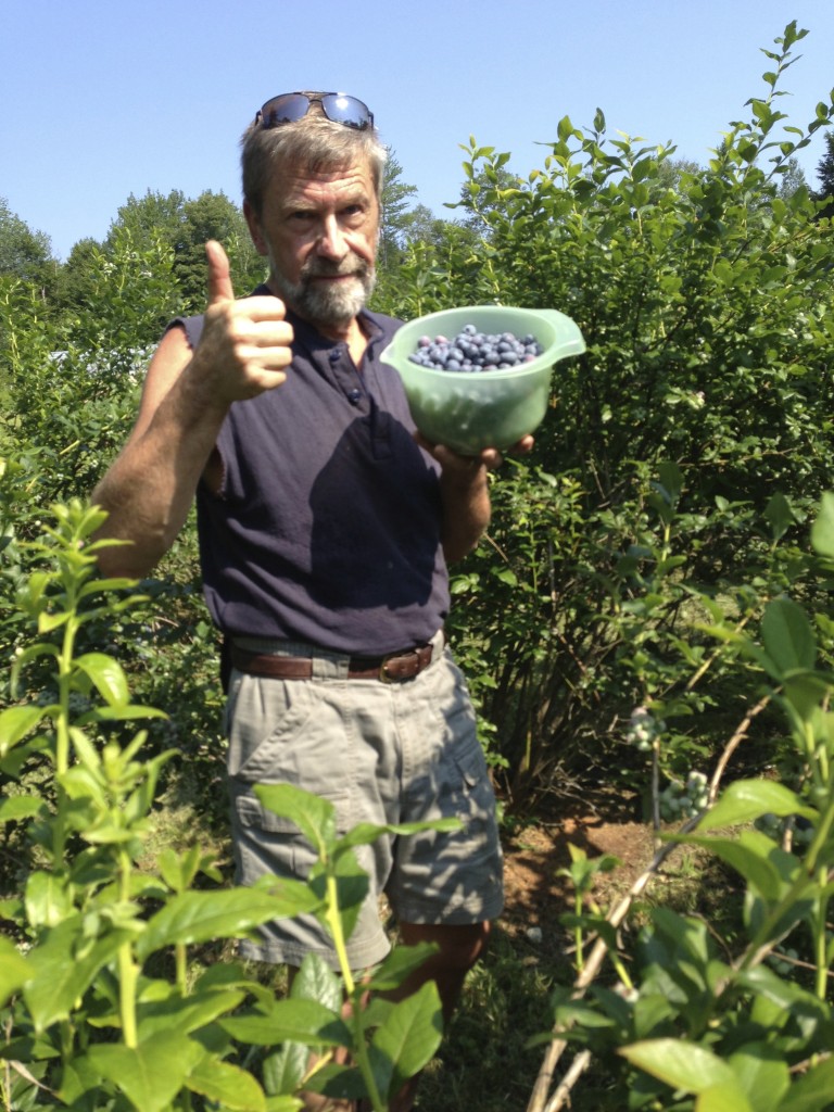 Barry picking blueberries