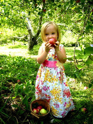 Little girl with apples