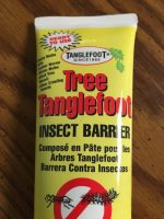 Tanglefoot for deer flies