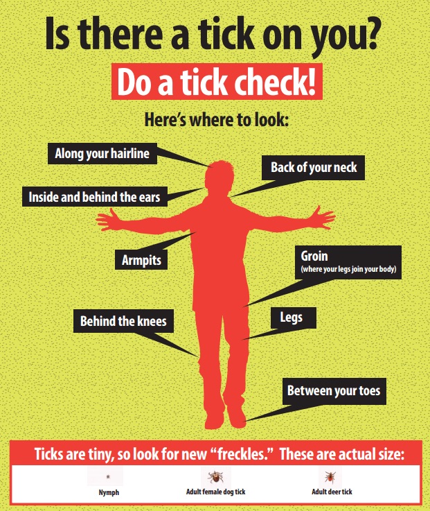 Check for ticks tips from mldse.org
