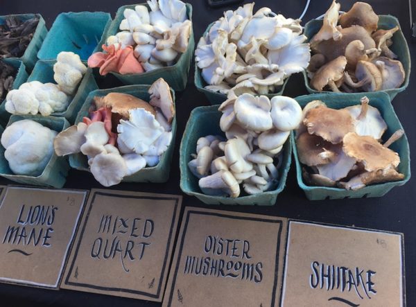 Mushroom assortment/Farmers' Market