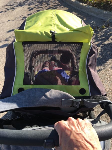 Granddaughter in stroller