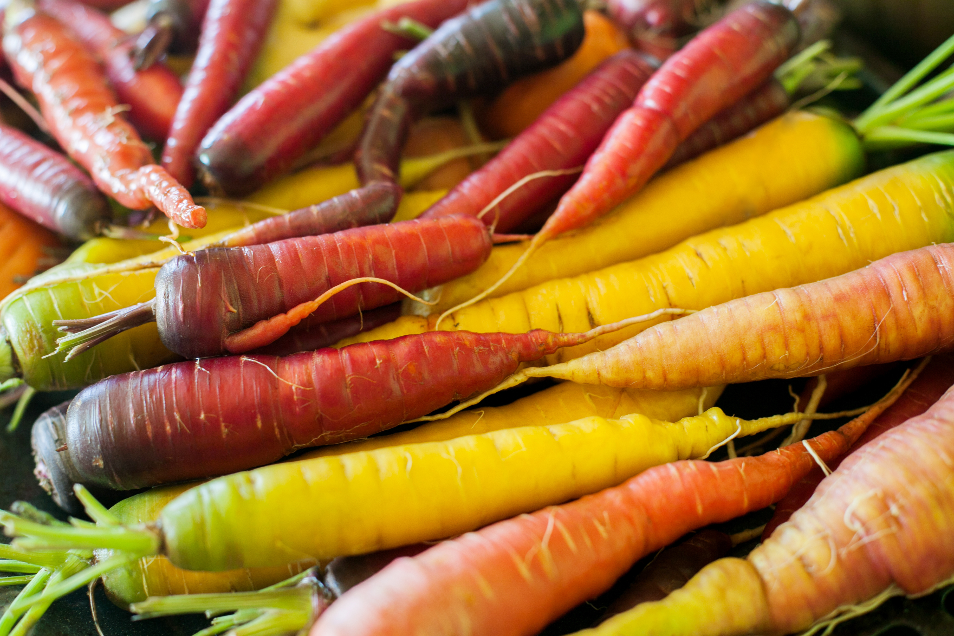 jackie-s-easy-tips-for-cutting-carrots-catching-health-with-diane-atwood