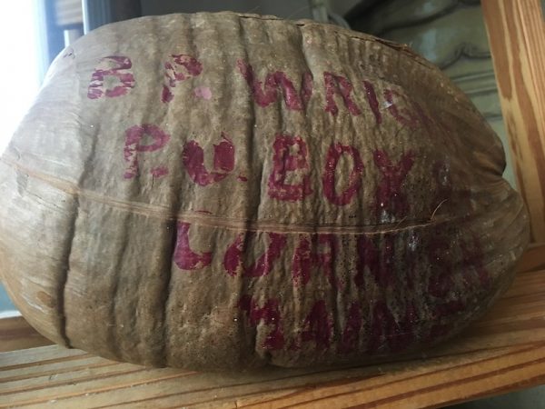 Coconut Leona Chasse mailed home during WWII