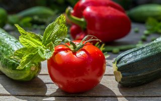 tomatoes and zucchini/Adobe