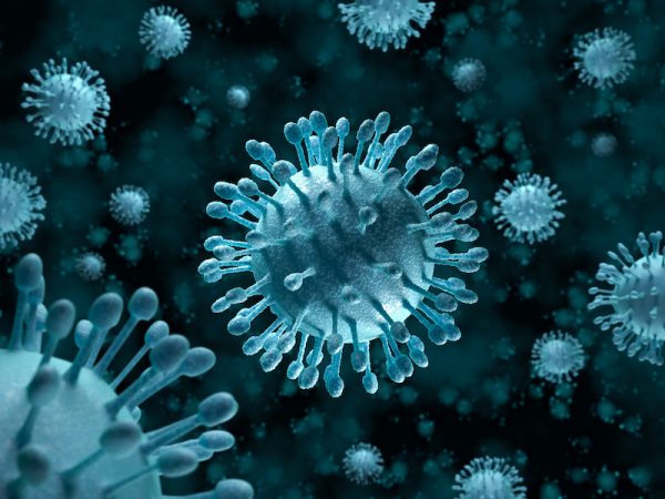 Hepatitis C virus attack
