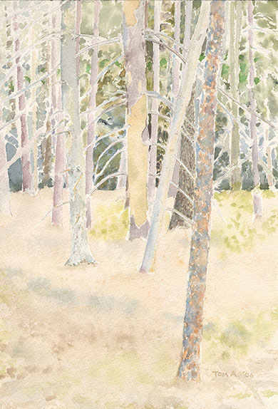 Trees, Woolman Hill, watercolor by Tom Antonik