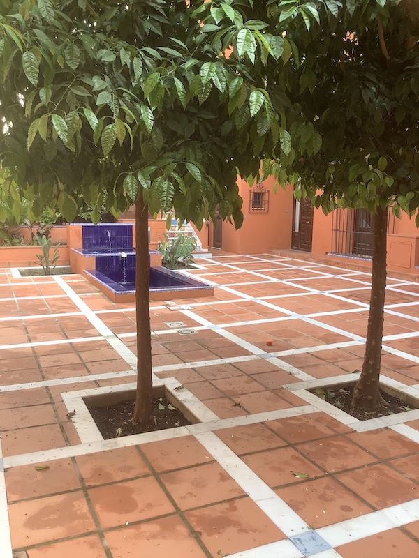 Greetings from Spain Catching Health with Diane Atwood