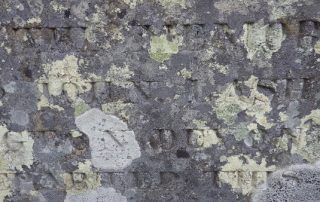 Lichen on a headstone in Newfoundland, Canada