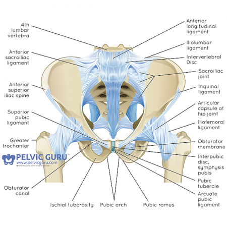 You mean there’s therapy for that? Pelvic health physical therapy and ...