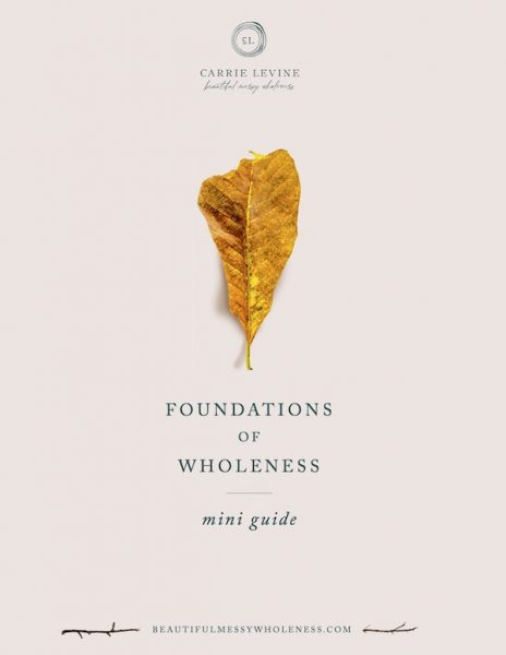 Foundations of Wholeness mini-guide