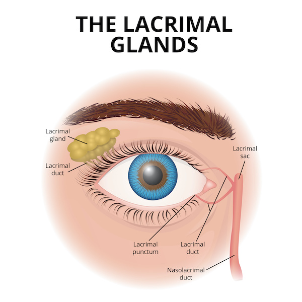 Dry eyes lacrimal glands